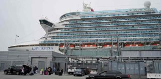 Brote de norovirus en crucero deja más de 100 contagios; esto se sabe Brote de norovirus en crucero deja más de 100 contagios; esto se sabe