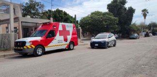 Ataque de abejas deja dos lesionados al oriente de Hermosillo Ataque de abejas deja dos lesionados al oriente de Hermosillo