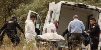 Hallan tres cuerpos con signos de violencia; autoridades investigan triple homicidio Hallan tres cuerpos con signos de violencia; autoridades investigan triple homicidio