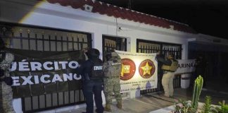 Operativo deja 191 detenidos y más de 41 mil dosis de droga aseguradas en Sonora Operativo deja 191 detenidos y más de 41 mil dosis de droga aseguradas en Sonora