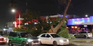 Fuertes vientos derriban anuncio luminoso al sur de Hermosillo; estuvo a punto de caer sobre peatones Fuertes vientos derriban anuncio luminoso al sur de Hermosillo; estuvo a punto de caer sobre peatones