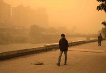 Confirman tormentas de polvo y arena sin precedentes en la frontera entre México y EEUU; alertan por riesgo para la salud Confirman tormentas de polvo y arena sin precedentes en la frontera entre México y EEUU; alertan por riesgo para la salud
