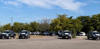 Reportan fuga de reos en Cereso número 2 de Hermosillo; despliegan fuerte operativo Reportan fuga de reos en Cereso número 2 de Hermosillo; despliegan fuerte operativo