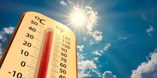 OMS pide a países preparar sus sistemas de salud ante el aumento del calor extremo OMS pide a países preparar sus sistemas de salud ante el aumento del calor extremo