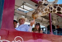 Centro Ecológico de Sonora registra 73 nacimientos en 2026; Durazo destaca avances en conservación animal Centro Ecológico de Sonora registra 73 nacimientos en 2026; Durazo destaca avances en conservación animal