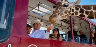 Centro Ecológico de Sonora registra 73 nacimientos en 2026; Durazo destaca avances en conservación animal Centro Ecológico de Sonora registra 73 nacimientos en 2026; Durazo destaca avances en conservación animal