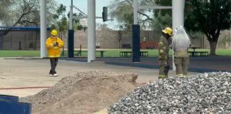 Retiran enjambre de abejas de colegio al poniente de Hermosillo Retiran enjambre de abejas de colegio al poniente de Hermosillo