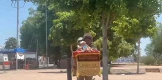 Organilleros desafían los 42°C en Ciudad Obregón y mantienen viva una tradición mexicana