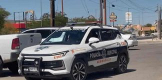 Policía de Tránsito rescata a perro que cayó a canal pluvial en Hermosillo Policía de Tránsito rescata a perro que cayó a canal pluvial en Hermosillo