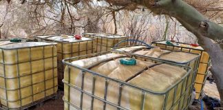 Localizan toma clandestina de hidrocarburos al sur de Hermosillo; aseguran 3 mil litros de combustible Localizan toma clandestina de hidrocarburos al sur de Hermosillo; aseguran 3 mil litros de combustible
