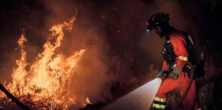 España reporta 88 mil evacuados y un muerto por incendios forestales que azotan al país España reporta 88 mil evacuados y un muerto por incendios forestales que azotan al país