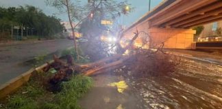 Lluvias dejan 73 incidentes en Hermosillo; Ures registra mayor acumulación de agua en Sonora