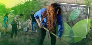 Suman esfuerzos en Hermosillo para crear Jardín Botánico en el Cerro Johnson