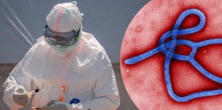 OMS advierte que brote de ébola en el Congo podría ser hasta cuatro veces mayor a lo reportado