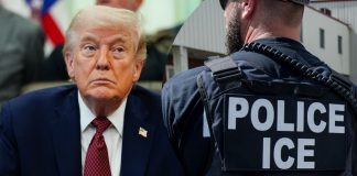 Trump ordena reanudar controles de tránsito del ICE para reforzar detenciones de migrantes Trump ordena reanudar controles de tránsito del ICE para reforzar detenciones de migrantes