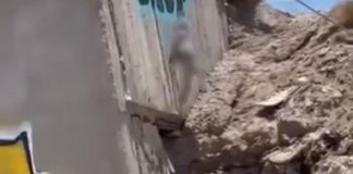 Localizan perro sin vida al norte de Hermosillo; autoridades investigan crueldad animal