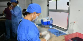 Perros y gatos podrán ser esterilizados sin costo en Hermosillo; así puedes agendar una cita Perros y gatos podrán ser esterilizados sin costo en Hermosillo; así puedes agendar una cita