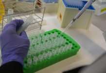¿El futuro de la medicina? Científicos en EEUU crean primera célula sintética capaz de crecer y reproducirse