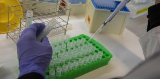 ¿El futuro de la medicina? Científicos en EEUU crean primera célula sintética capaz de crecer y reproducirse ¿El futuro de la medicina? Científicos en EEUU crean primera célula sintética capaz de crecer y reproducirse