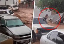 Tormenta desata caos en Nogales: corrientes arrastran vehÃculos; rescatan con vida a una mujer, video se vuelve viral