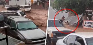 Tormenta desata caos en Nogales: corrientes arrastran vehículos; rescatan con vida a una mujer, video se vuelve viral