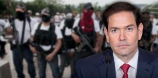 "Nunca dejaremos de luchar", afirma Marco Rubio tras designación de cárteles como terroristas