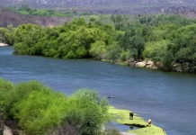 Prevén concluir en tres meses la remediación de zonas contaminadas del río Sonora, afirma alcalde de Ures