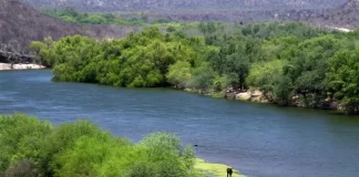 Prevén concluir en tres meses la remediación de zonas contaminadas del río Sonora, afirma alcalde de Ures