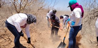 Hermosillo ocupa el tercer lugar nacional en fosas clandestinas; suma 110 hallazgos