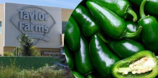Taylor Farms retira jalapeños mexicanos en EEUU por brote de salmonela