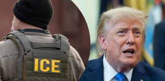 Trump propone guantes con descargas eléctricas para agentes de migración de ICE