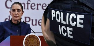 Sheinbaum rechaza uso de guantes eléctricos por parte de ICE contra migrantes Sheinbaum rechaza uso de guantes eléctricos por parte de ICE contra migrantes