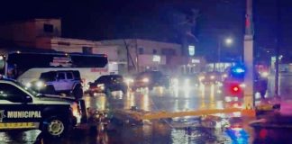 Tormenta causa estragos en Ciudad Obregón: árboles derribados, hundimientos y apagones
