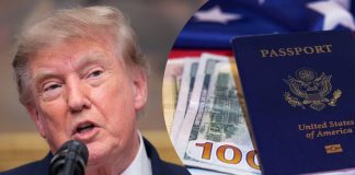 Trump propone cobrar más de 100 mil dólares por visas de trabajo especializado en EEUU