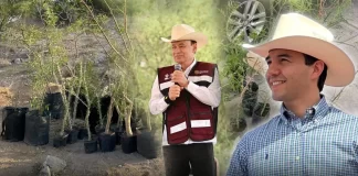 En ocho meses terminarán de plantar 13 mil árboles en Cerro de la Cementera en Hermosillo
