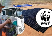 Hermosillo vuelve a ganar Desafío de Ciudades de WWF por sus acciones para enfrentar el cambio climático