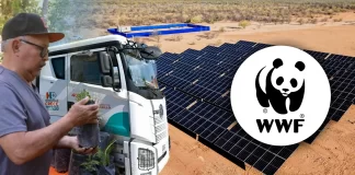 Hermosillo vuelve a ganar Desafío de Ciudades de WWF por sus acciones para enfrentar el cambio climático