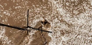 Perrito queda atrapado en corriente del Río El Zanjón y es rescatado por Bomberos de Hermosillo Perrito queda atrapado en corriente del Río El Zanjón y es rescatado por Bomberos de Hermosillo