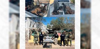 Rescatan a 18 perros durante cateo por presunto maltrato animal en Sonoyta Rescatan a 18 perros durante cateo por presunto maltrato animal en Sonoyta