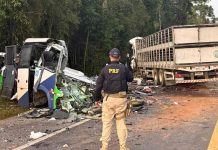 Mueren 23 personas tras choque entre autobús y camión en Brasil Mueren 23 personas tras choque entre autobús y camión en Brasil