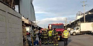 Exceso de fumigante moviliza a Bomberos de Hermosillo por presunto incendio en el Mercado Francisco I. Madero Exceso de fumigante moviliza a Bomberos de Hermosillo por presunto incendio en el Mercado Francisco I. Madero