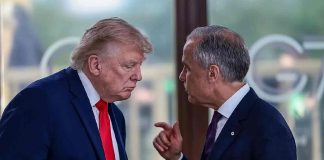 Fracasan negociaciones comerciales entre Canadá y EEUU; entran en vigor aranceles del 50%