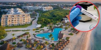 Descarta Cofepris parásito ‘cyclospora’ en 16 hoteles de Riviera Maya tras alerta de Reino Unido