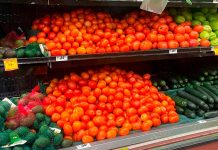 Precio del tomate da respiro a familias del sur de Sonora y baja hasta 18 pesos por kilo