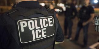 Guantes eléctricos para agentes de ICE desatan rechazo y reclamos para recortar fondos