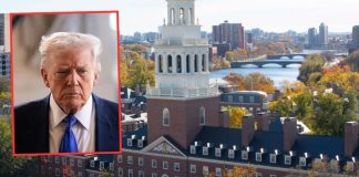 Golpe contra Trump: juez federal desestima demanda contra Harvard por presunto antisemitismo