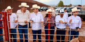 Reapertura del cruce ganadero por Agua Prieta reactiva exportaciones de Sonora a EEUU: Celida López