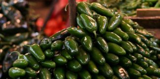 Descarta Cofepris Salmonella Javiana en chiles jalapeños de Nuevo León Descarta Cofepris Salmonella Javiana en chiles jalapeños de Nuevo León