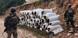 Operativo en Sinaloa deja 12 detenidos y asegura 35 armas, granadas y más de una tonelada de marihuana: Harfuch