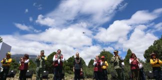 Sheinbaum arranca Jornada Nacional de Reforestación desde Puebla; anuncia meta de 6.6 millones de árboles